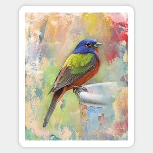 Painted Bunting Bird Sticker